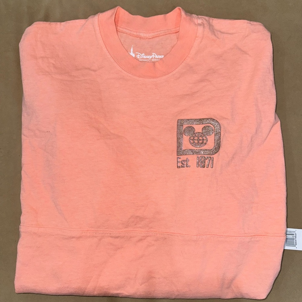 Disney Spirit Jersey